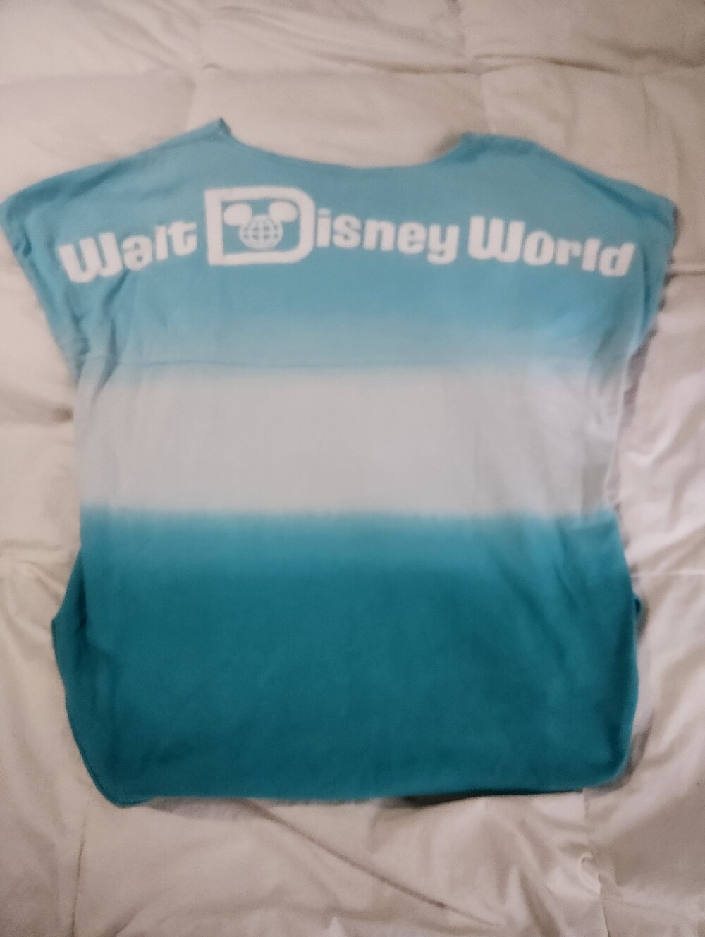 Walt Disney World Spirit Jersey, ombre size L Read*